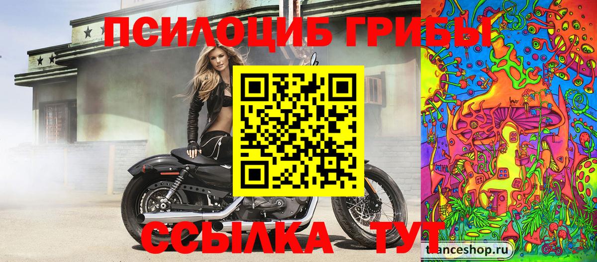 Галлюциногенные грибы Magic Shrooms  Вход с VPN  Тулун 